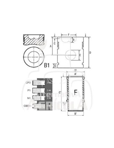 CAMISA, PISTÓN Y SEGMENTOS