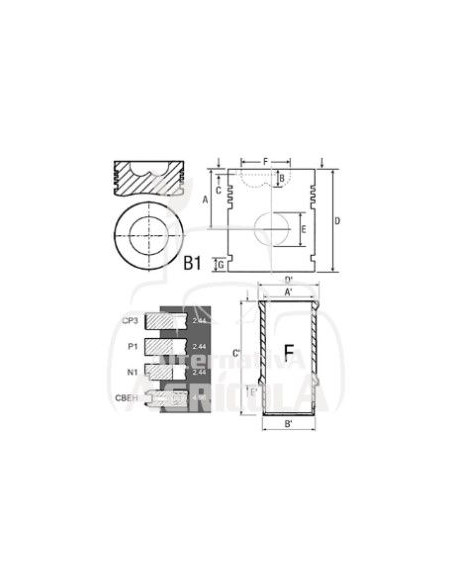 CAMISA, PISTÓN Y SEGMENTOS