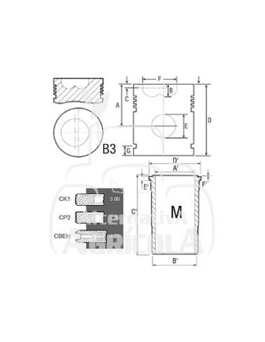 CAMISA, PISTÓN Y SEGMENTOS