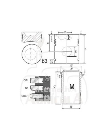 CAMISA, PISTÓN Y SEGMENTOS