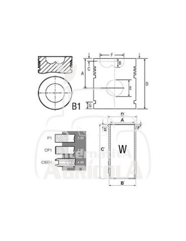 Retén cigüeñal trasero Ø 115 x 140 x 13.5 mm