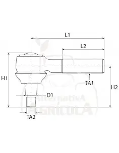 RÓTULA DE DIRECCIÓN