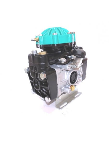 Bomba fumigar 2 membranas 35L/min