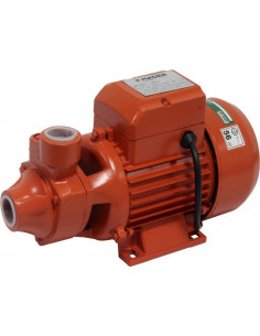 Bomba agua electrico 550w