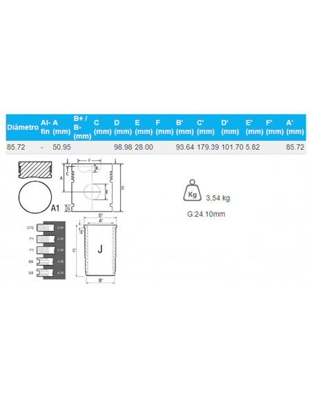 CAMISA, PISTÓN Y SEGMENTOS