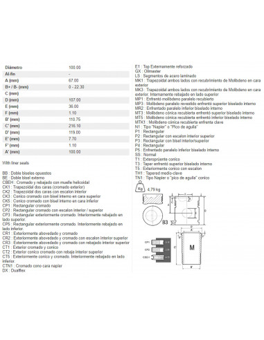CAMISA, PISTÓN Y SEGMENTOS