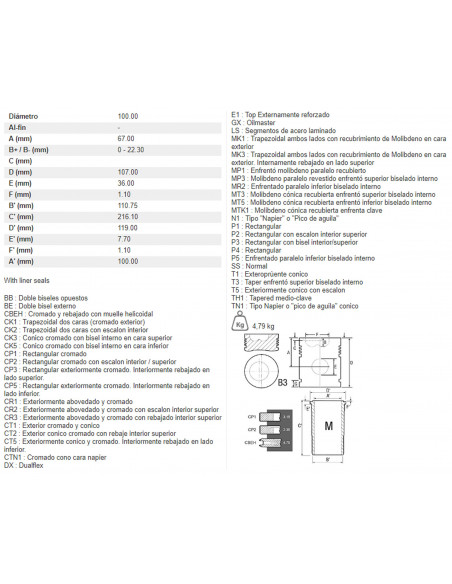 CAMISA, PISTÓN Y SEGMENTOS