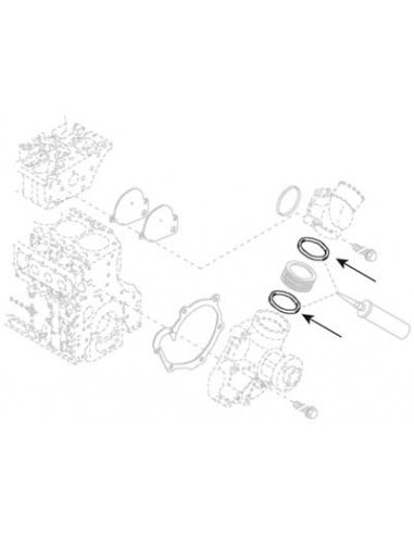 JUNTA TÓRICA Ø 48 X 5 MM