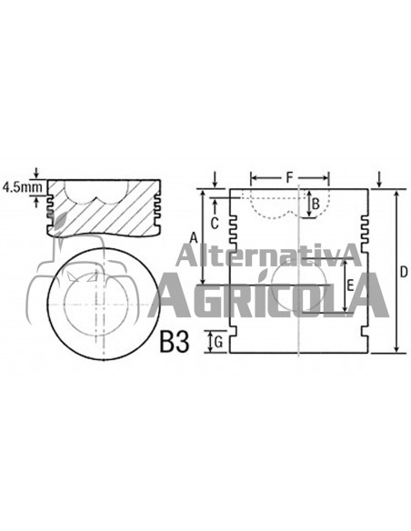 Pistón Ø 106,50 mm con Bulón Ø 35 mm AR55980