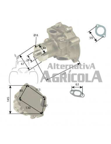 Bomba de Agua Tractor Fiat con Motor Iveco