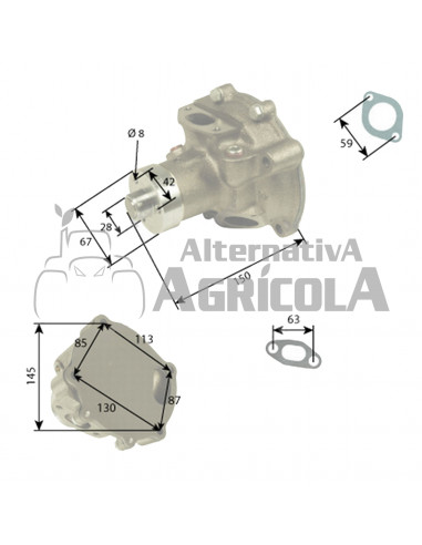 Bomba de Agua Tractor Fiat con Motor Iveco