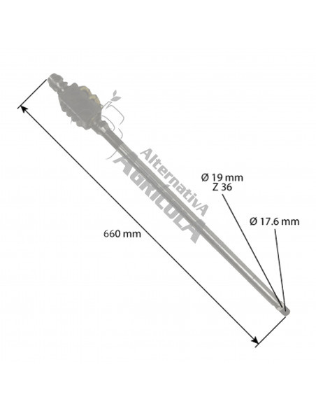 EJE DE DIRECCIÓN Ø 21 mm - L650 mm