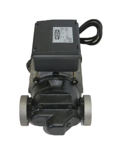 Bomba trasvase gasoil