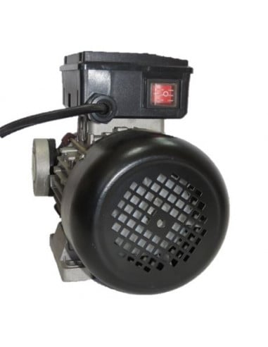 Bomba trasvase gasoil