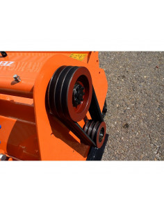 Correa MOJAVE-Monegros y Monegros