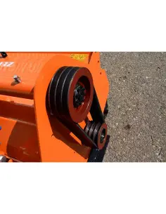 Correa MOJAVE-Monegros y Monegros