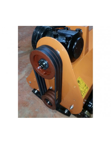 Correa MOJAVE-Monegros y Monegros