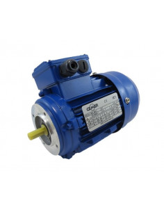 Motor eléctrico 0.12CV 