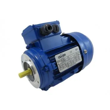 Motor eléctrico 0.12CV 