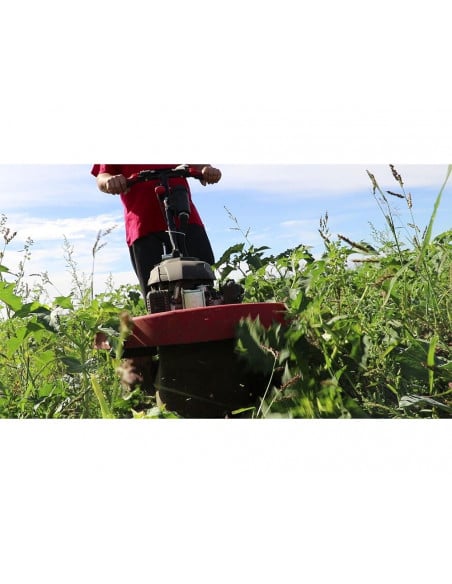 Motodesmalezadora 5.5