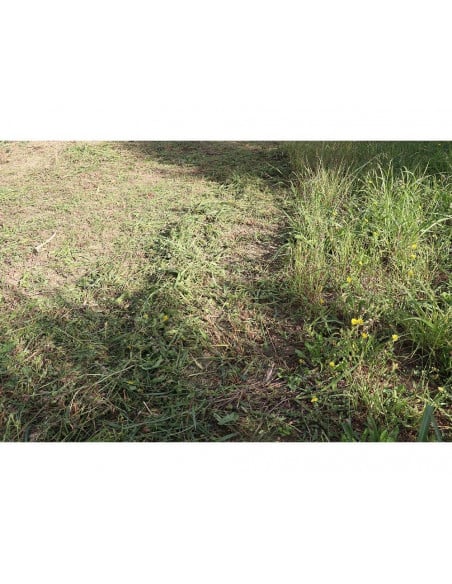 Motodesmalezadora 5.5