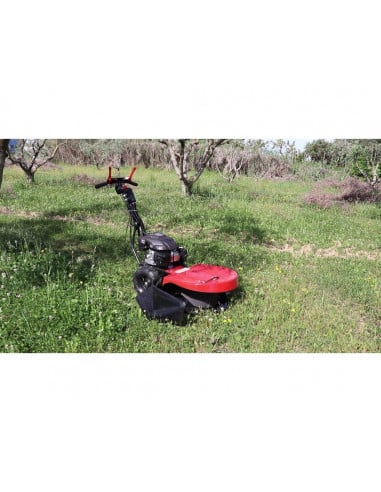 Motodesmalezadora 5.5