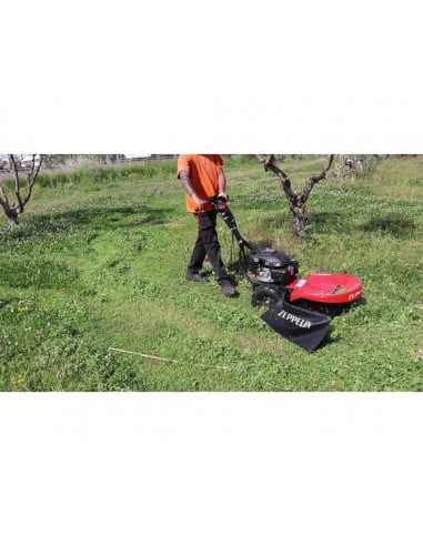 Motodesmalezadora 5.5