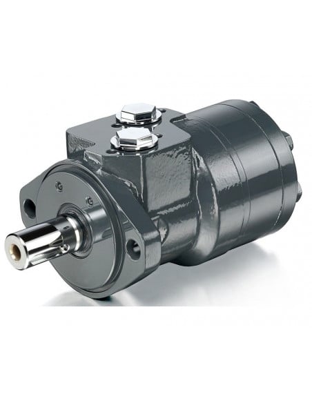 Motor giro hidráulico Danfoss White OMRX250