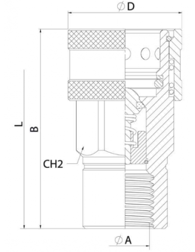 Enchufe hidráulico rápido hembra punzón de 3/4" (27mm)