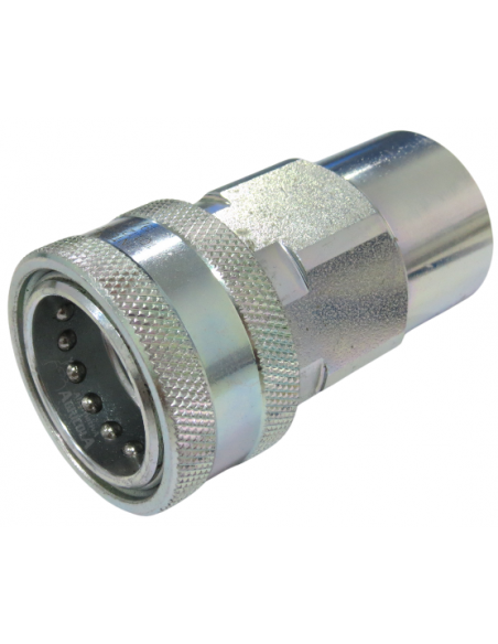 Enchufe hidráulico rápido hembra punzón de 1" BSP