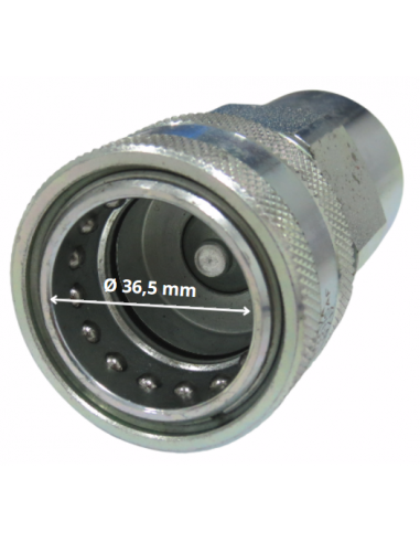 Enchufe hidráulico rápido hembra punzón de 1" BSP