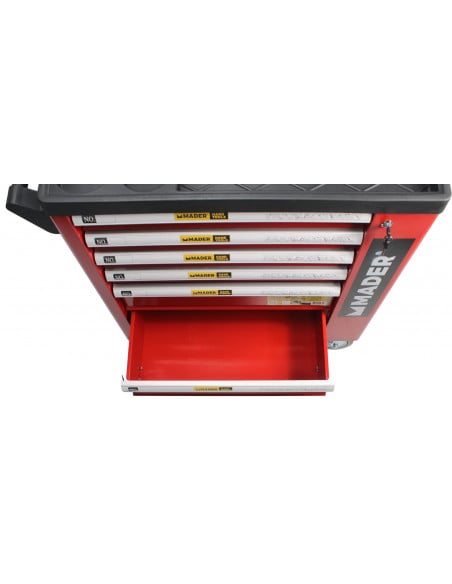 Sulfatadora de carro con motor gasolina 4T 100L Mader