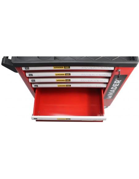 Sulfatadora de carro con motor gasolina 4T 100L Mader