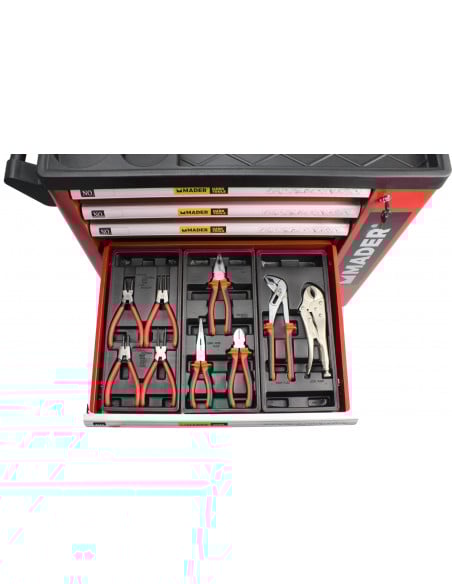 Sulfatadora de carro con motor gasolina 4T 100L Mader