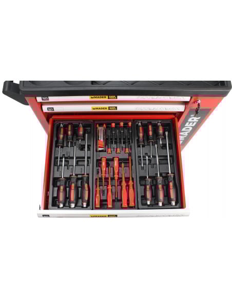 Sulfatadora de carro con motor gasolina 4T 100L Mader