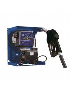 Bomba trasvase 60l/min 220v con contador de 4 dígitos.