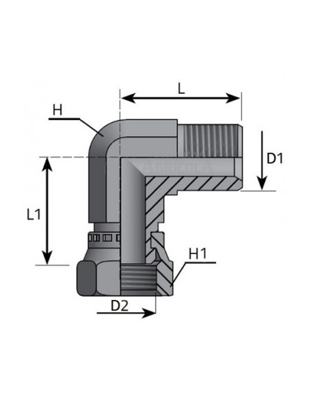 Codo 90º Macho - Tuerca Loca BSP 60º Forjado 1/2"