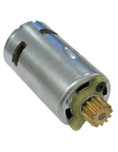 Motor 12 v con piñón para vareador eléctrico