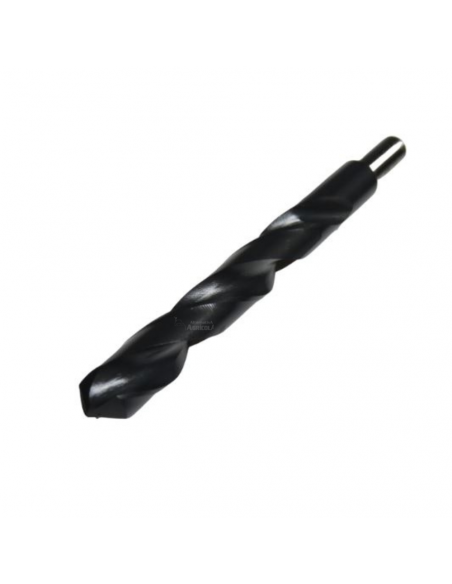 Broca HSS DIN 338 N mango reducido M-20