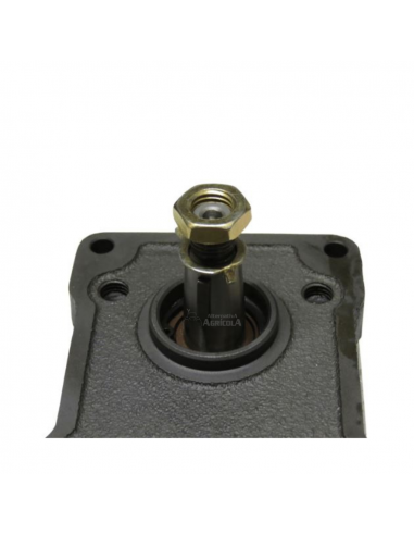 Bomba Hidráulica 19cc Ø Eje (mm) 15/17 Distencia entre eje (mm) 72/96