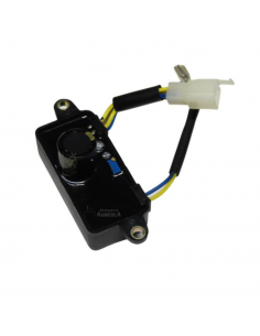 Regulador automatico de voltaje AVR GEN 1200-2500-3200 250V 220UF