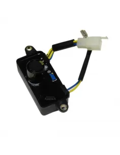 Regulador automatico de voltaje AVR GEN 1200-2500-3200 250V 220UF