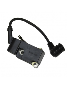 Bobina con pipa para bujia 57503