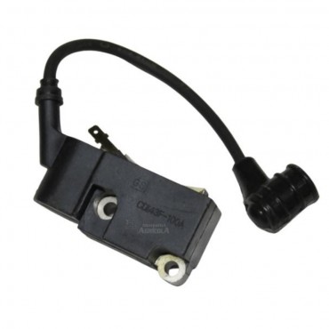 Bobina con pipa para bujia 57503