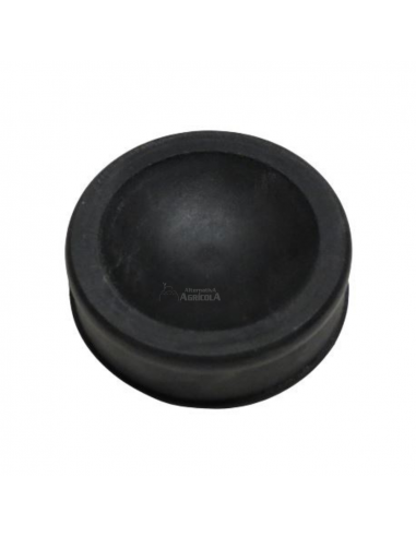 Membrana bomba fumigar IMOVILLI M30-M50 36844