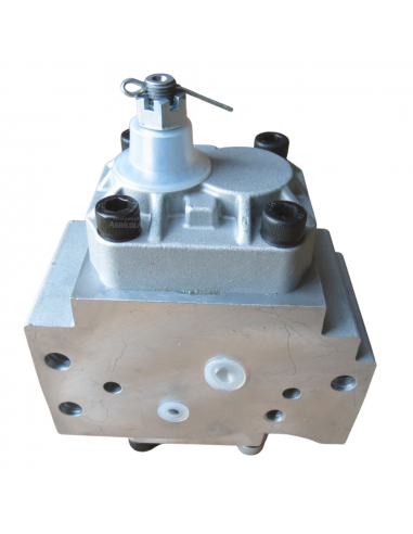 Bomba hidráulica doble rotación a derecha Massey Ferguson, Landini 3038730M2