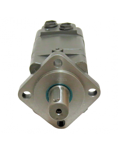 Motor hidráulico giro reforzado 160CC