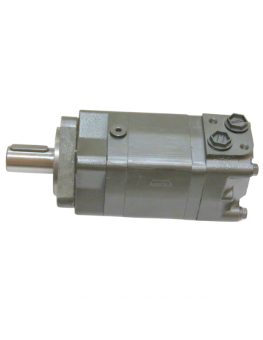 Motor hidráulico giro reforzado 160CC