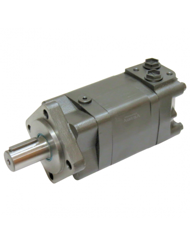 Motor hidráulico giro reforzado 160CC