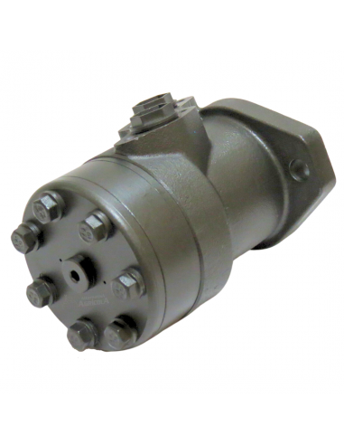 Motor hidráulico giro reforzado 100CC